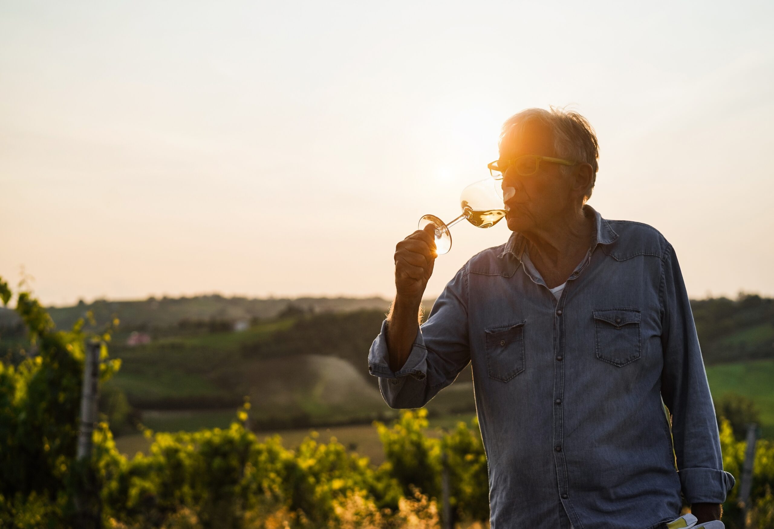 Wine,Producer,Man,Tasting,The,Product,After,Harvest,And,Grape