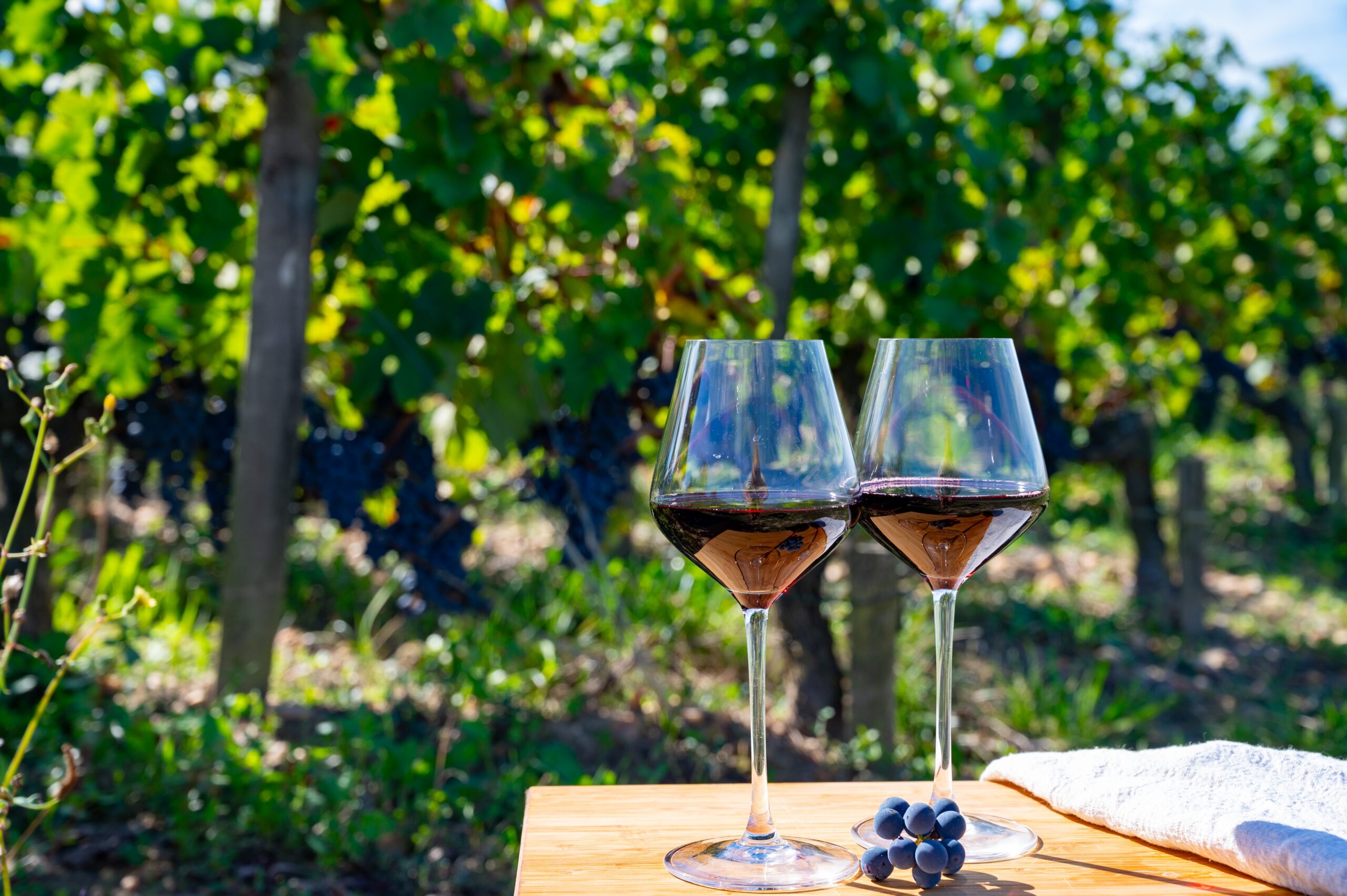 Tasting,Of,Red,Bordeaux,Wine,,Merlot,Or,Cabernet,Sauvignon,Red