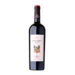 VIDIGUEIRA RESERVA TINTO